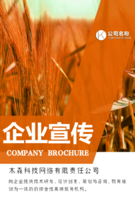 木森網(wǎng)絡(luò) 以城市智慧基因，驅(qū)動數(shù)字創(chuàng)新未來
